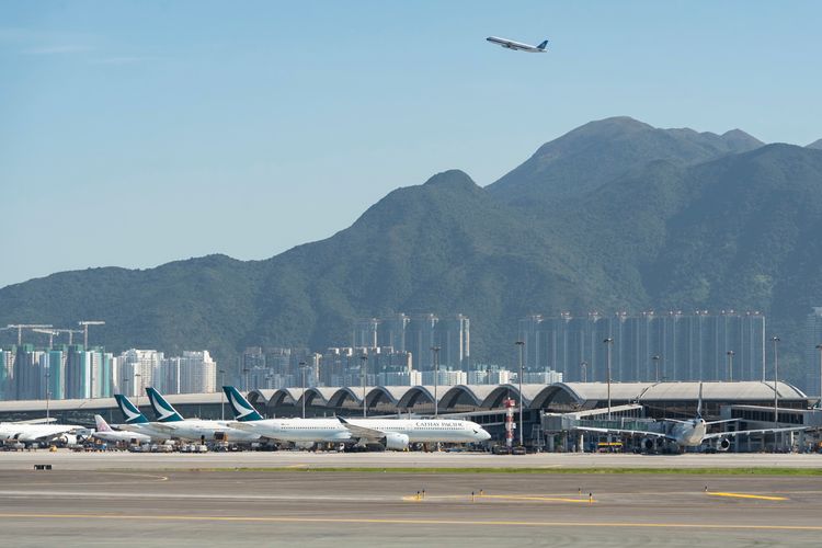 「機艙老鼠」降落即落網　專家提醒搭機要看好貴重物品