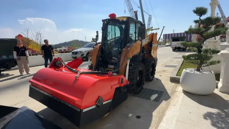 小山貓。翻攝畫面