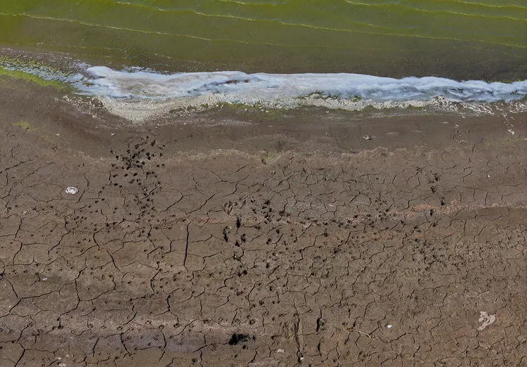 敘利亞乾涸的水庫。美聯社