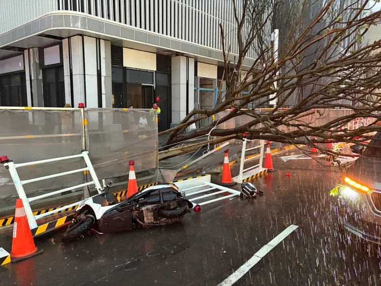 西屯區路樹倒塌壓在汽車上，還造成1名騎士摔傷。民眾提供