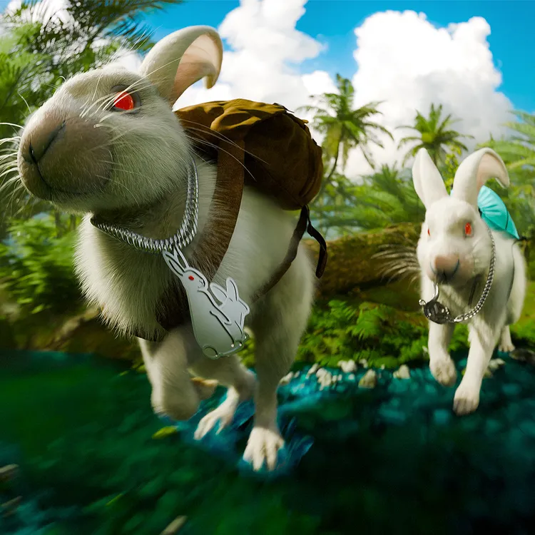 冒險兔。品牌提供