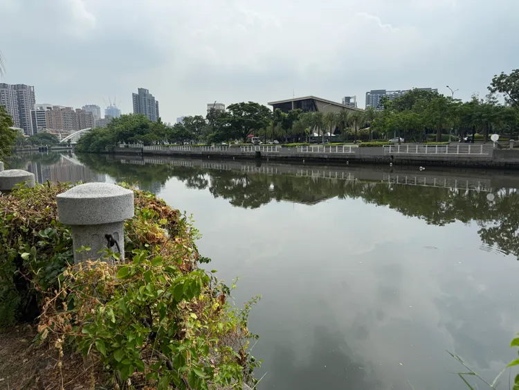 愛河河西路段16日清晨發現一名女子落水。翻攝畫面