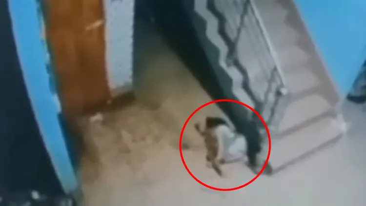 女娃詹娜特墜樓後摔到1樓樓梯間地板上，送醫後隔天宣告不治。翻攝自X