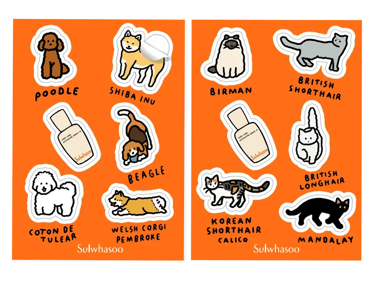 雪花秀潤燥養膚精華 × ZERO PER ZERO 插畫聯名貼紙（10月線上線下官方通路下單贈）。品牌提供