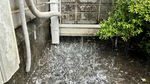 梅雨颱風雙重打擊!網友狂刷:only這招救了我全家!