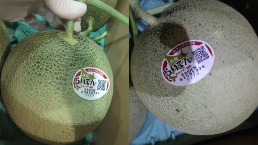 北海道哈蜜瓜又出包 农药超标遭查验!边境全挡下