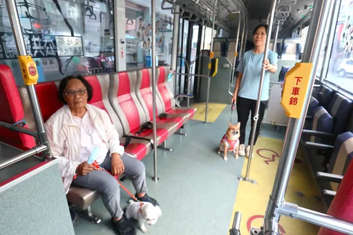 南市友善狗狗公車出發! 這兩條路線毛小孩輕鬆搭