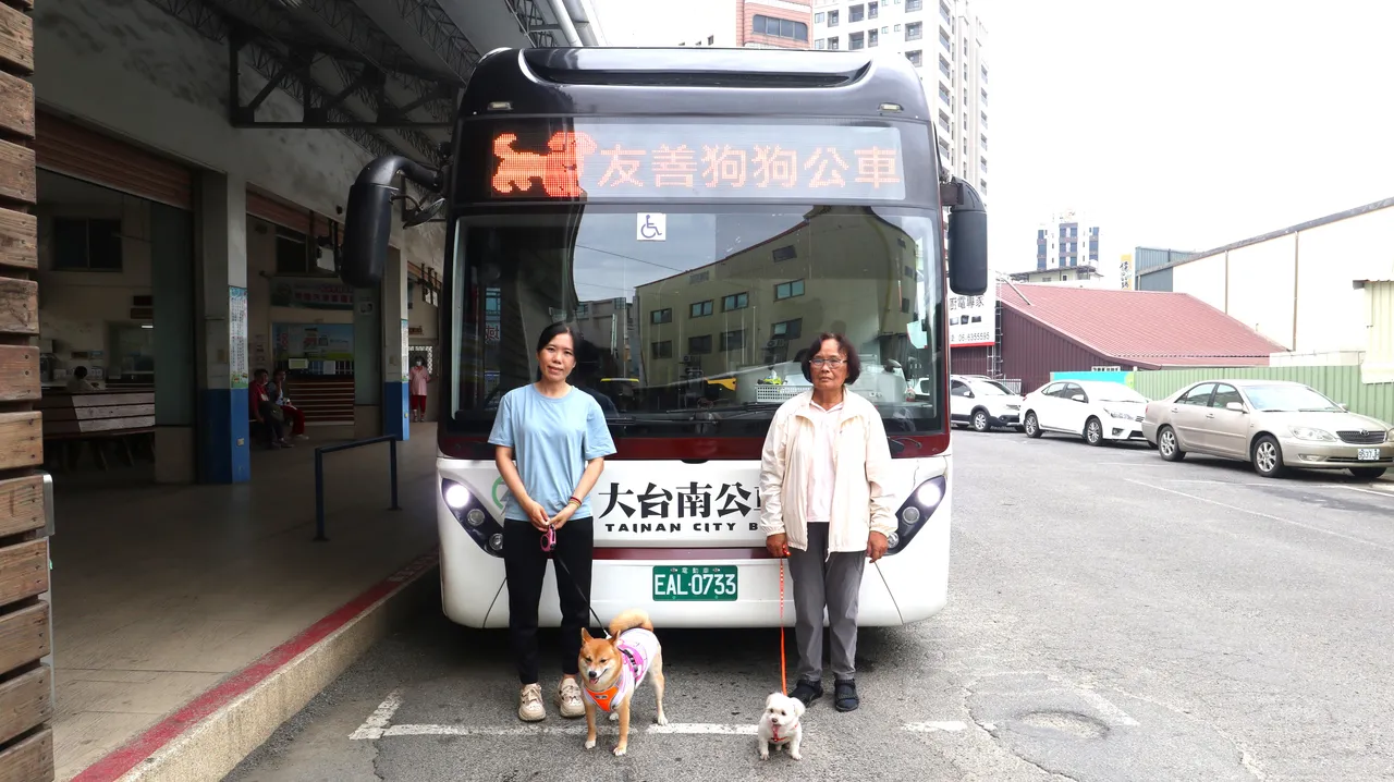 目前试办路现在假日发车,分别为棕干线、绿17两条路线。南市府提供