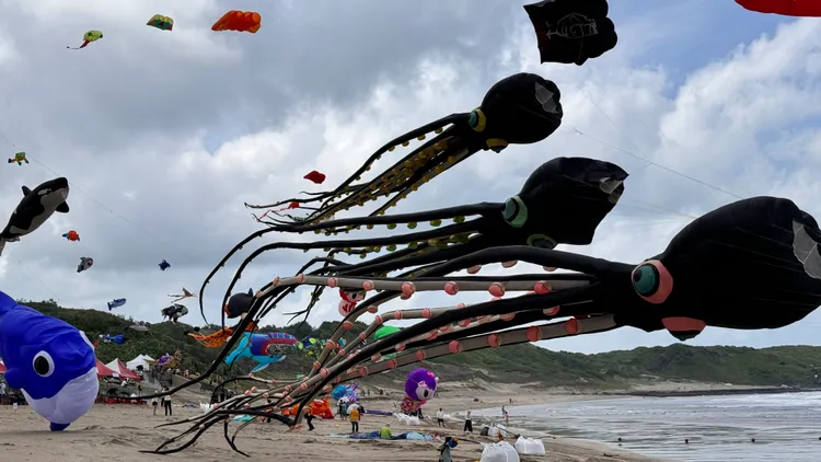 邁入第22年的北海岸風箏節，首次將在白沙灣亮相的「獅子魚」跟「海螺」大型風箏，場面壯觀可期。公所提供