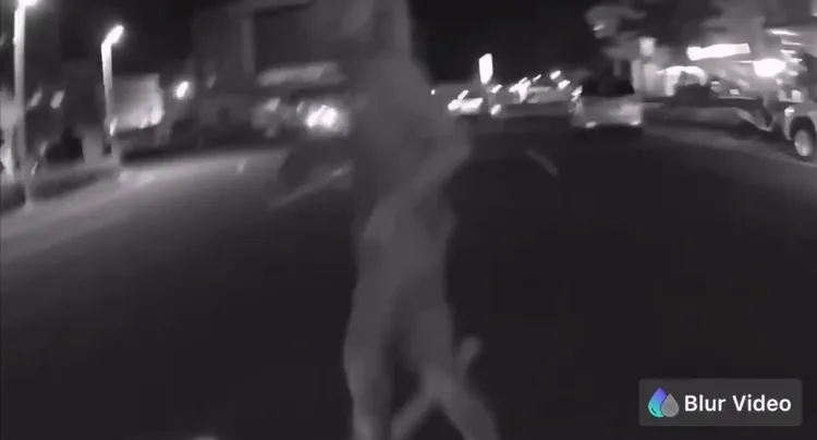 羅男遭警方壓制管束。民眾提供