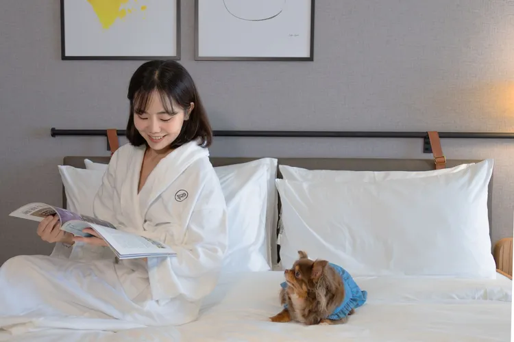 嘉義福容voco酒店即日起至10/6入住寵物主題房並完成拍照打卡，即可獲贈「蜜香小蛋糕」，讓毛小孩也能嚐到月光般的甜蜜滋味。業者提供