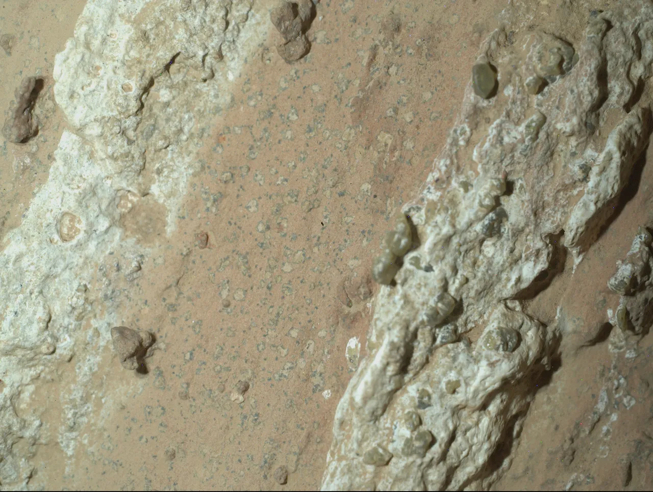 NASA表示在火星上发现疑似微生物的活动痕迹。美联社