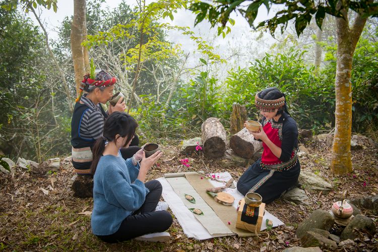 台灣之光！高雄桃源「哈娜谷原生野山茶」　勇奪2025世界綠茶大賽雙金獎