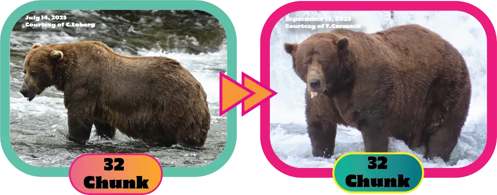 老熊王昌克霸气犹存。翻摄Explore.org