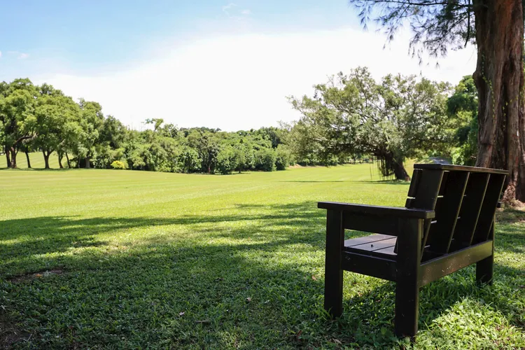 「高雄果嶺自然公園」面積達70公頃，最快9月底開放。翻攝畫面