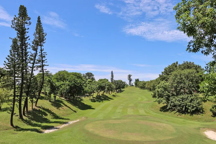 「高雄果嶺自然公園」面積達70公頃，最快9月底開放。翻攝畫面