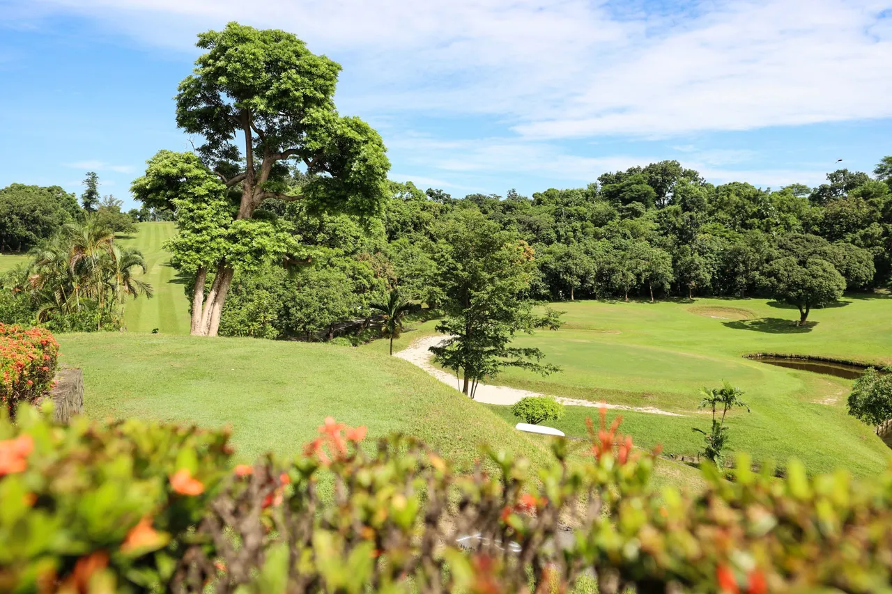 「高雄果嶺自然公園」面積達70公頃,最快9月底開放。翻攝畫面