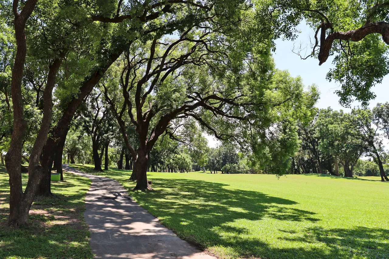 「高雄果嶺自然公園」面積達70公頃,最快9月底開放。翻攝畫面