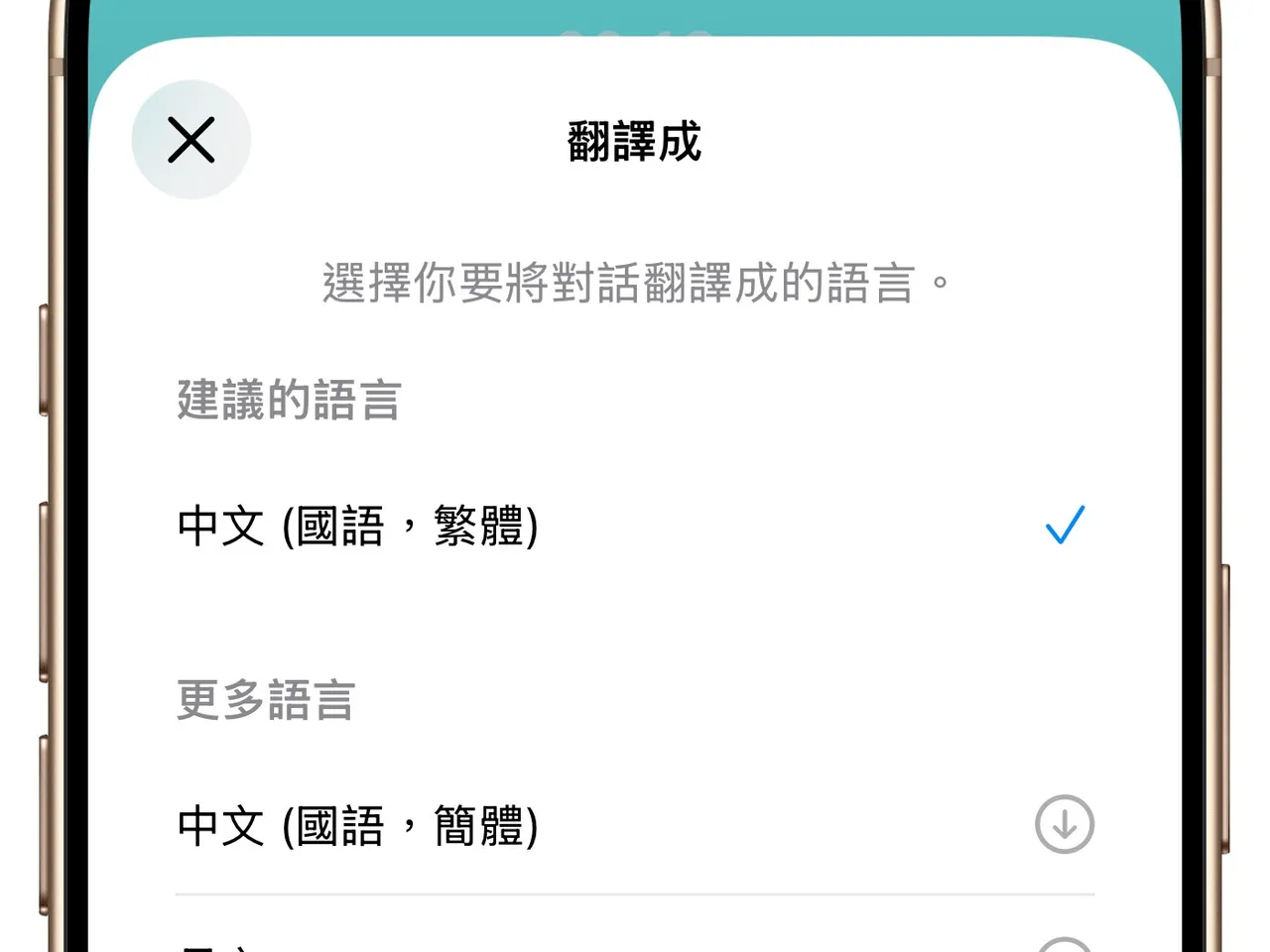 在「即時翻譯」中的語言選項中可以選擇繁體中文作為翻譯的語言。趙筱文攝