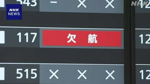 赴日注意!東京豪雨 羽田機場再有上百航班取消 兩萬多人受影響