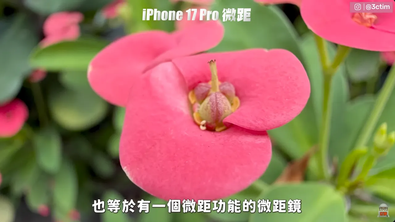 iPhone 17 Pro透過長焦裁切模擬微距效果,近拍細節更清晰。3cTim哥生活日常YouTube