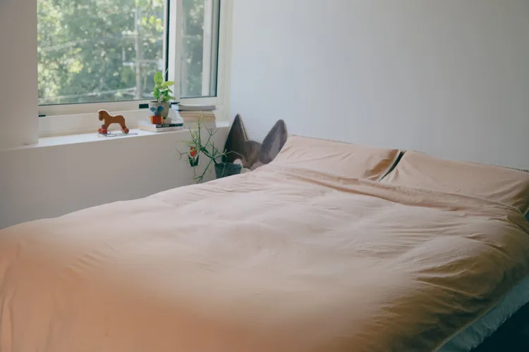 艾禮思山形繡 200 織水洗棉床寢使用 100 純棉，經特殊水洗處理後呈現自然的蓬鬆感與皺褶，吸濕透氣的特性，十分適合台灣氣候。業者提供