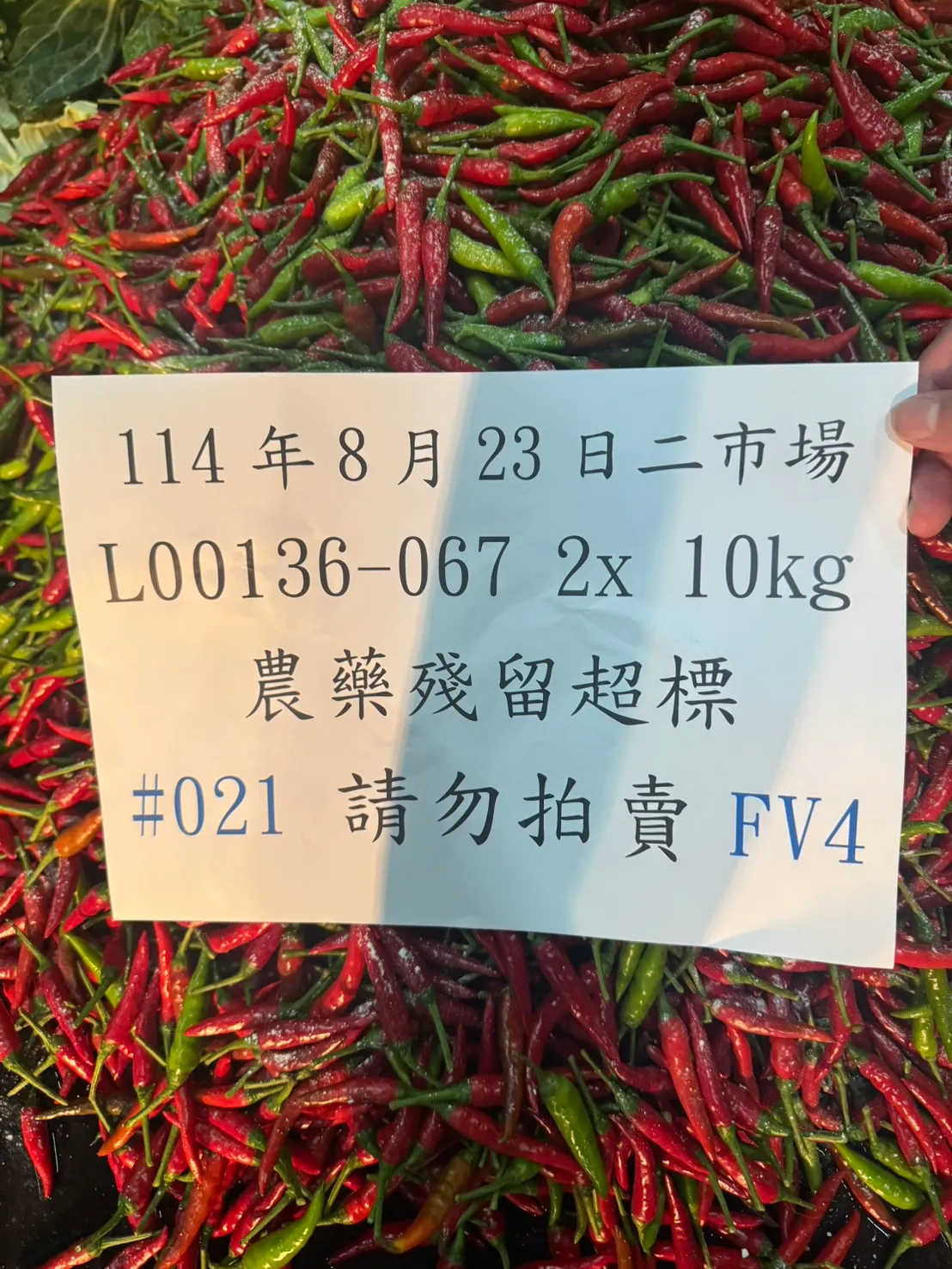 辣椒、杂柑残留农药超标,北市急拦截报废。台北市市场处提供