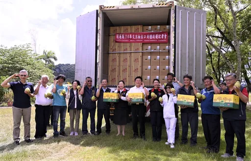 躲过台风!花莲文旦柚大丰收 开拓国际外销市场
