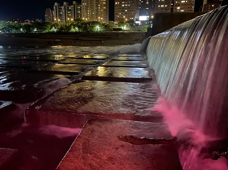 清華大學生命科學系曾晴賢教授表示，小毛蟹上溯洄游的數量和流量有明顯的關係。水利局提供