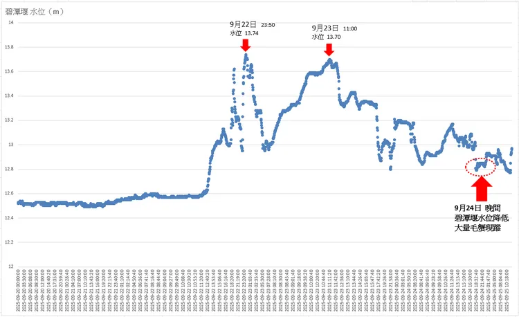 暴雨後的高流量會促使毛蟹利用洪水成群上溯。水利局提供