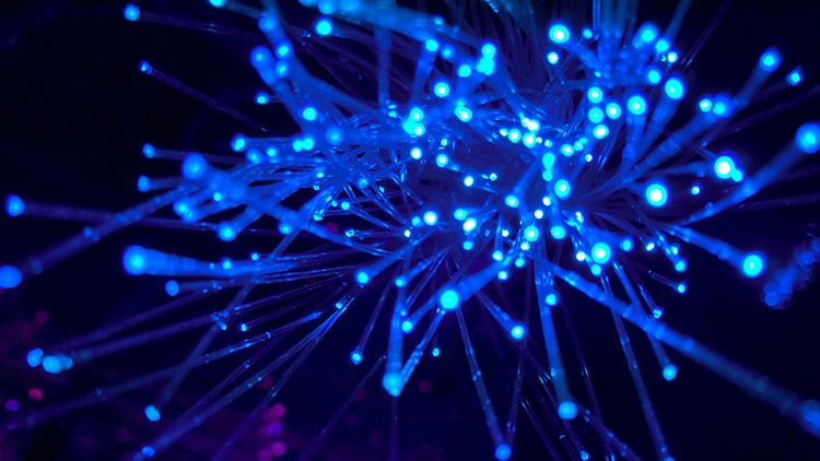 海纜斷線網路卡卡？　中華電：所投資電纜服務都正常
