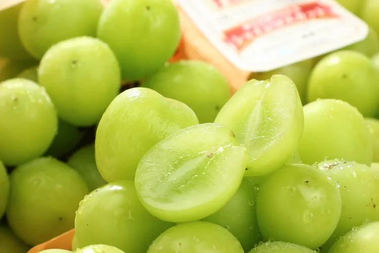 日本麝香葡萄深受消費者喜愛，2024年愛買限時限量銷售突破百萬營業額，今年限量5000盒。業者提供