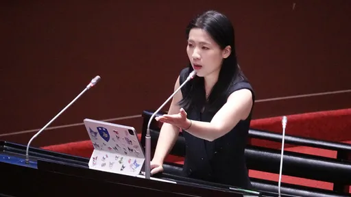 温朗东要参选 徐巧芯讽「嫖妓要人付钱、服役装病验退」祝绿好运