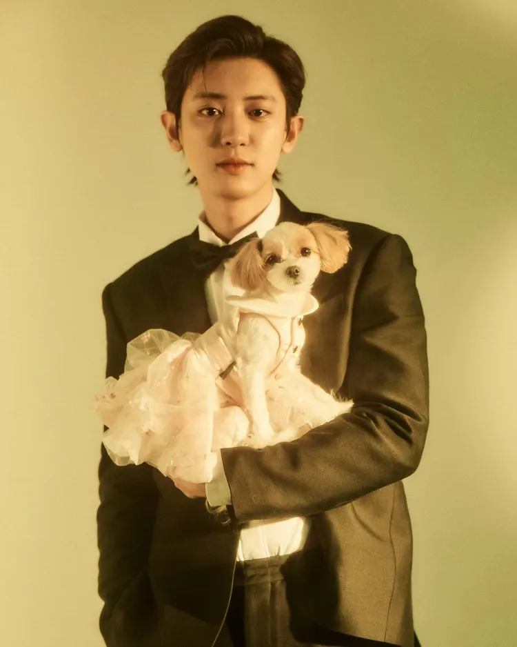 燦烈愛犬札特是他的活力來源。翻攝燦烈IG