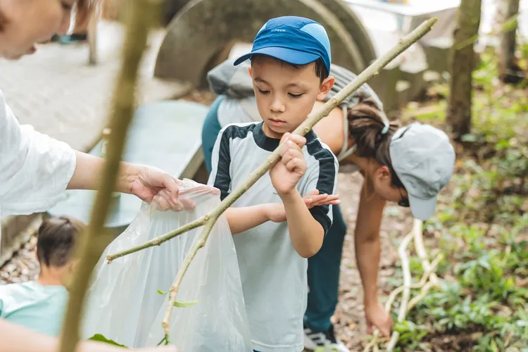 參與者協助清除有害植株並進行生態調查。業者提供