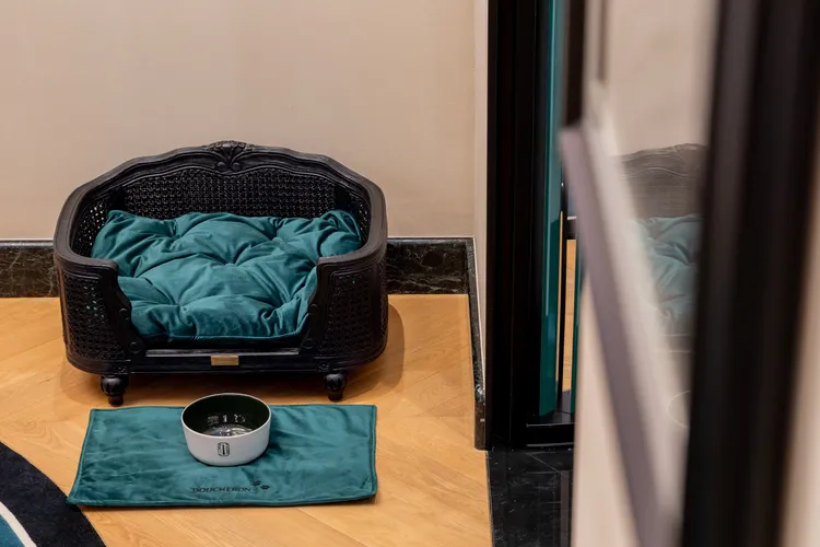 店內呼應總店的寵物休憩區。品牌提供