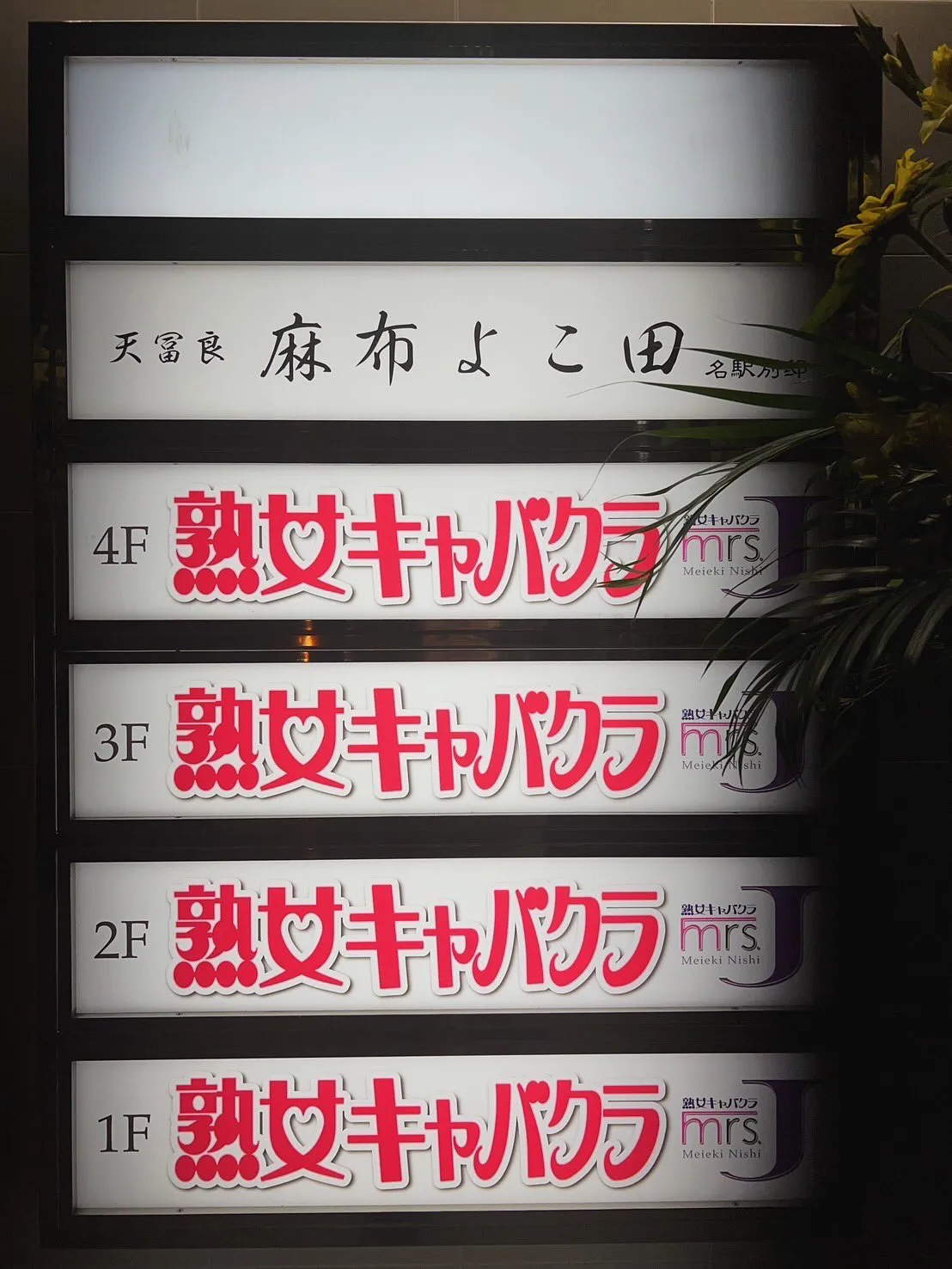 餐厅1至4楼是风月场所。翻摄自X @qmo42