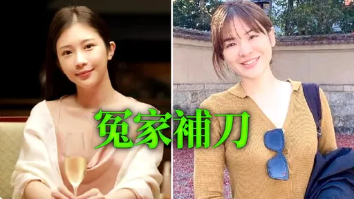 陳沂打臉鄭家純「又一家抽腿了」:四叉貓3年賺4萬證明粉絲沒消費力