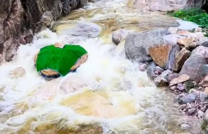 蟒蛇頭最終被覆蓋。翻攝自微博