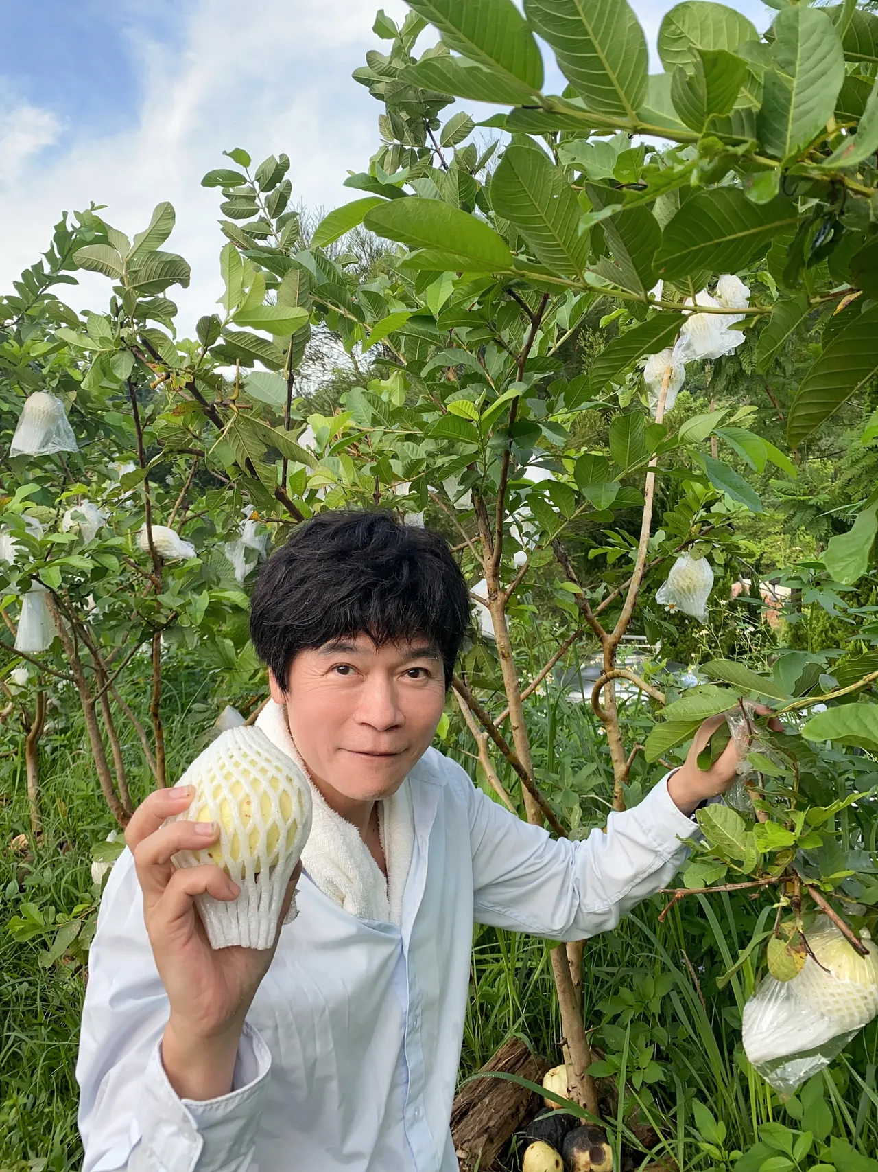 洪荣宏自己种植有机芭乐。阿尔发音乐提供