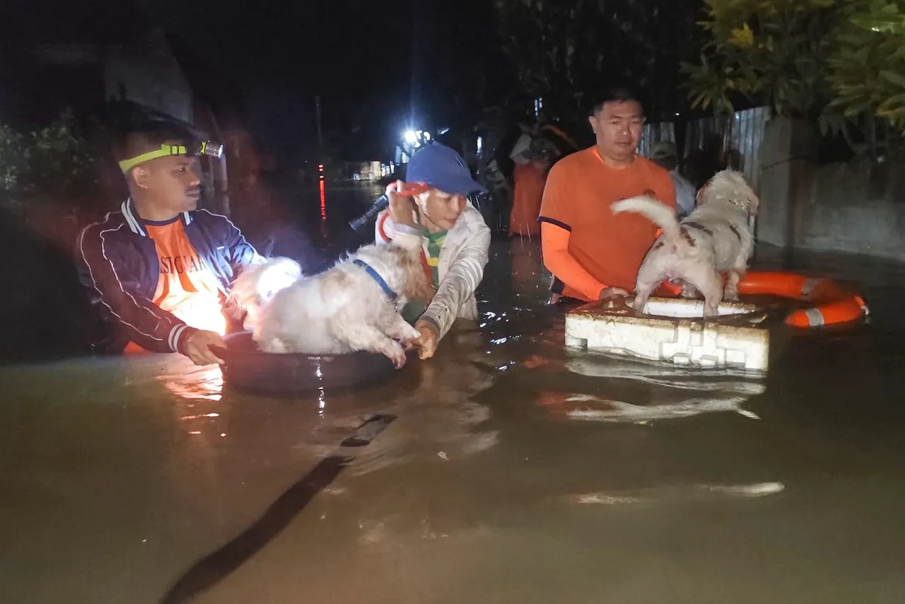 雷伊泰省灾民跟宠物一起获救。美联社/菲律宾海岸巡防队