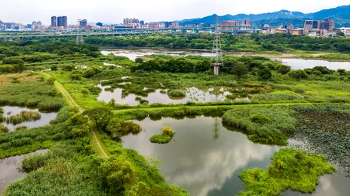 永續旅遊新典範!新北推3條低碳綠色路線 串聯環境教育與在地文化