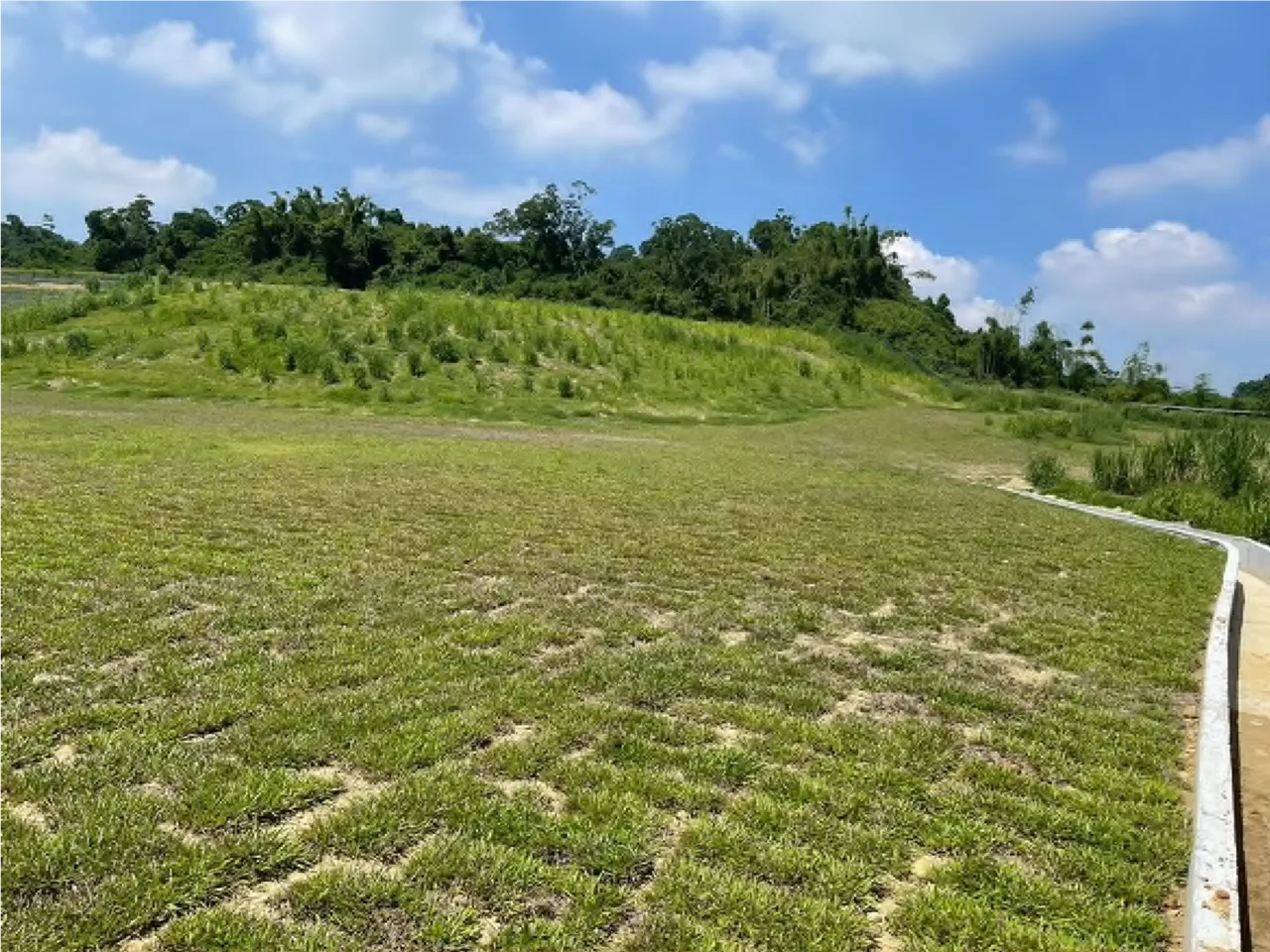 检方督促厂商将山坡地回复原状。桥检提供