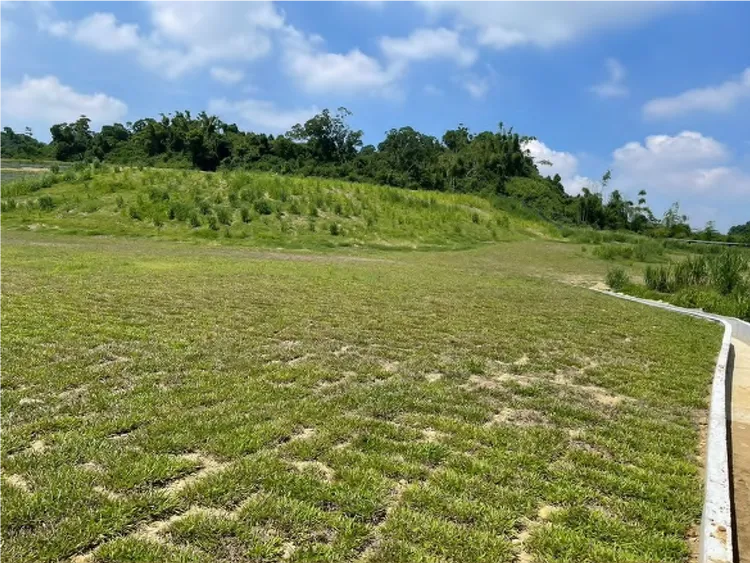 檢方督促廠商將山坡地回覆原狀。橋檢提供