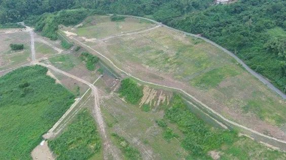 違規太陽能光電板基座已拆除，現場植生已舖設完成。橋檢提供