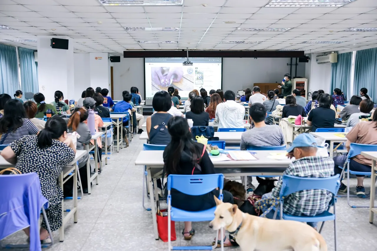 9/21国家防灾日,高雄市动保处请兽医师黄楷迪传授狗猫防灾急救包与外伤处理。翻摄画面