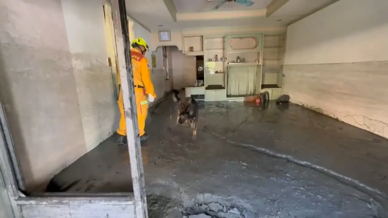 台中市2只搜救犬Parker、Jacob,也随队前往花莲救灾。市府提供