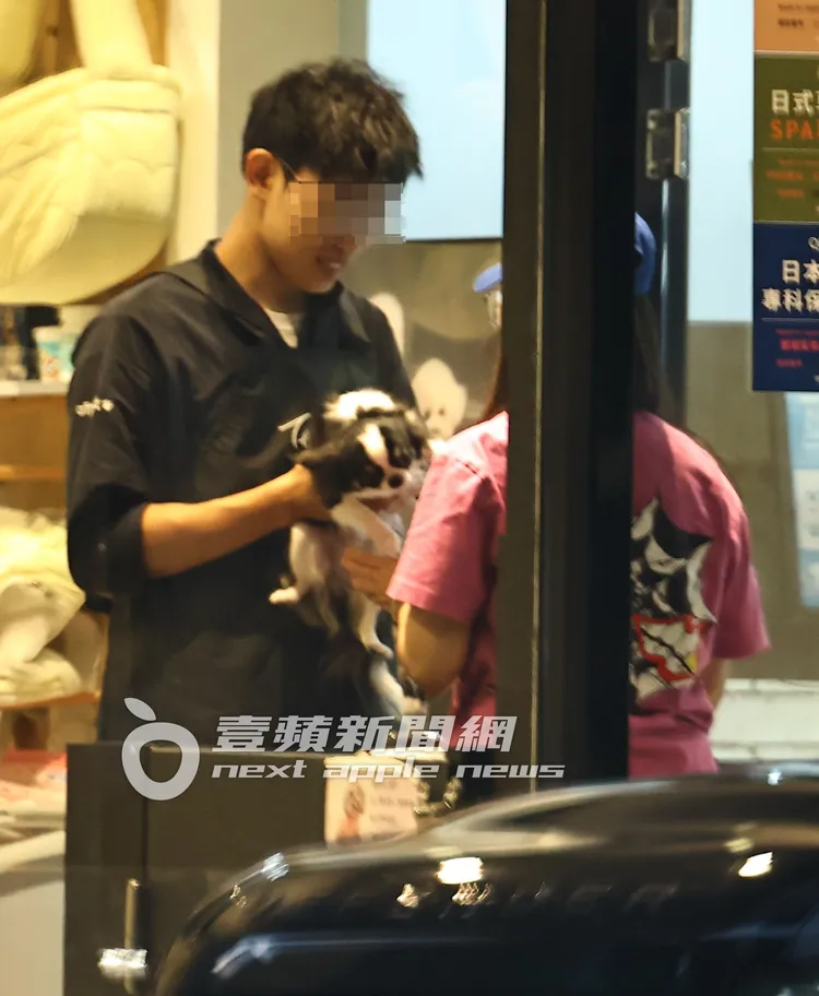 張震前助理老婆下車到寵物美容接黑白長毛吉娃娃愛犬上車。特勤中心攝