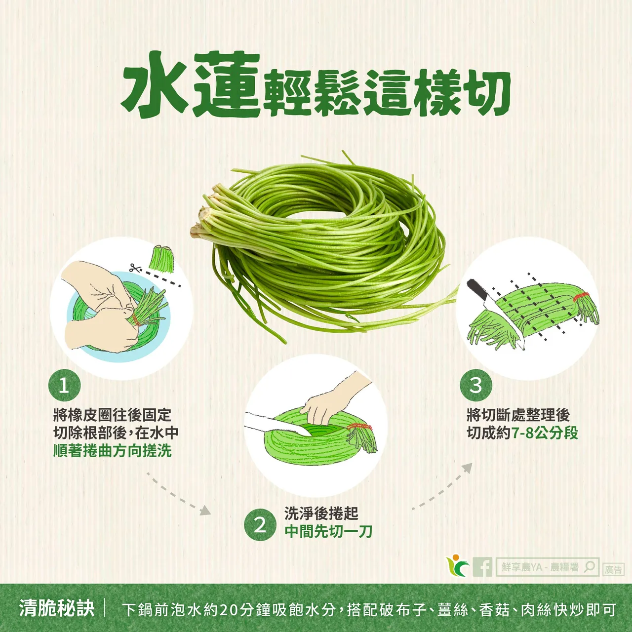 农粮署分享水莲的料理小撇步。翻摄自农粮署脸书