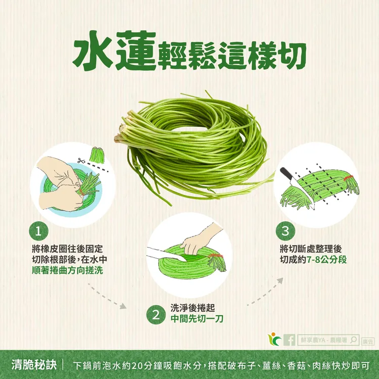 農糧署分享水蓮的料理小撇步。翻攝自農糧署臉書